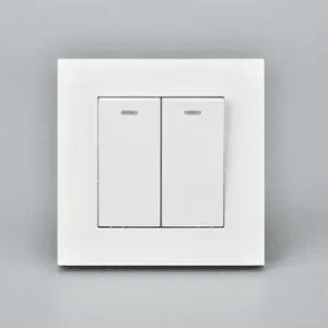 2 gang 1 way with neon BASIC WHITE
