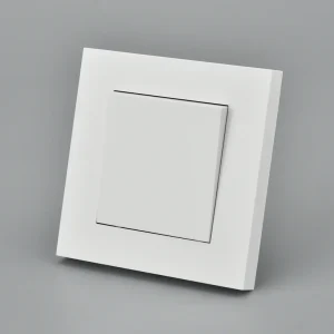 Basic Series - Light Switch - 1 gang