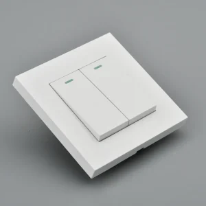 Basic Series - Light Switch - 2 gang